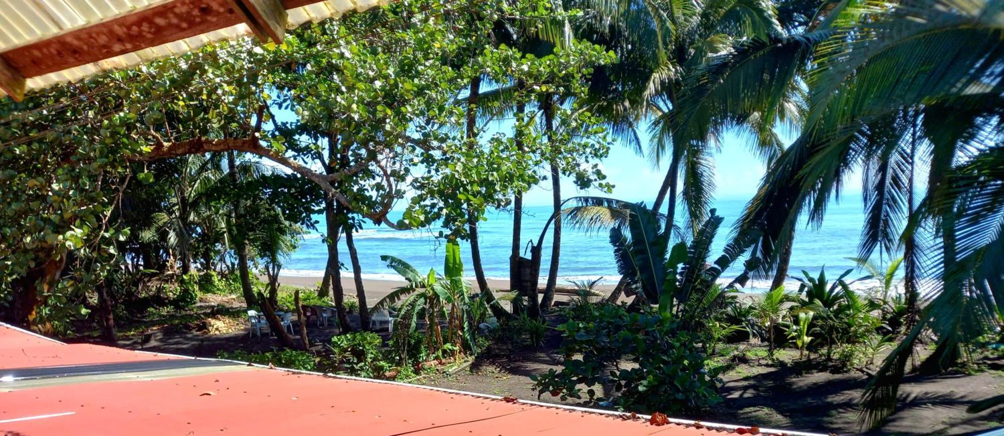 Tortuguero Adventures Beach House Екстериор снимка