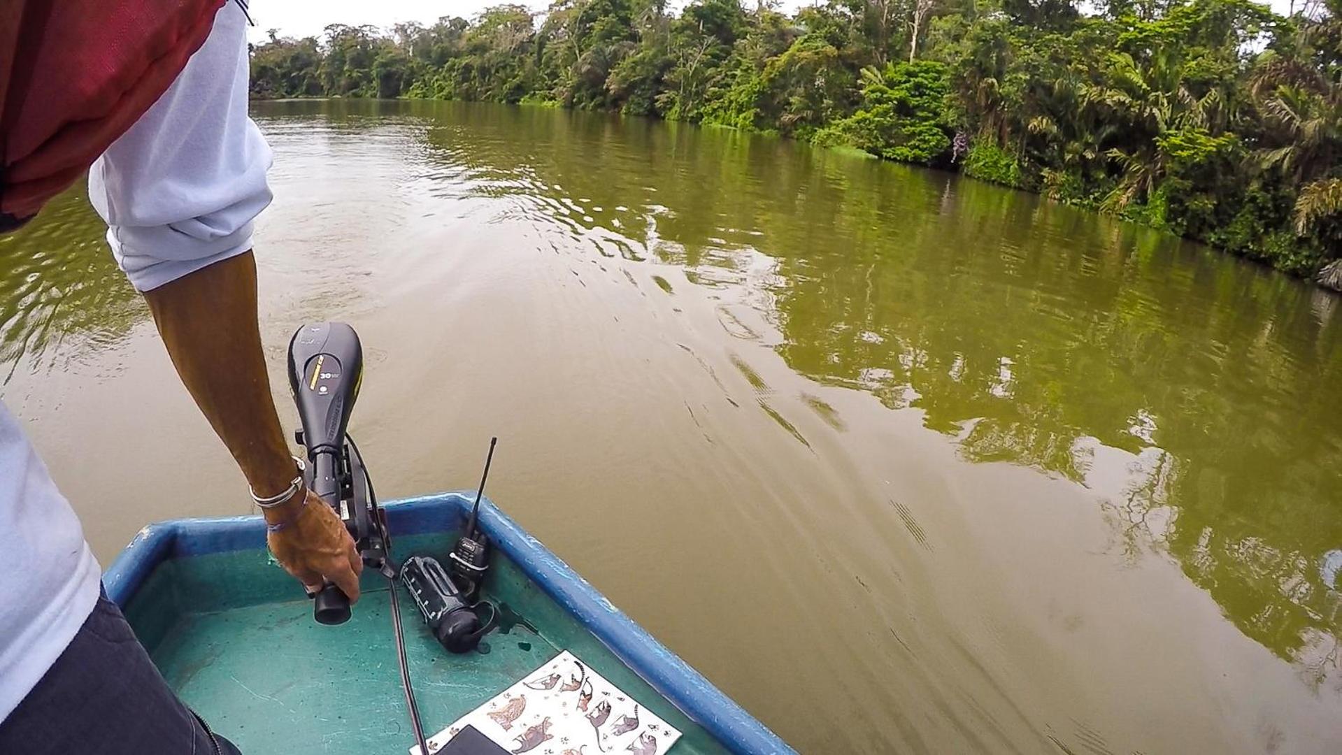 Tortuguero Adventures Beach House Екстериор снимка