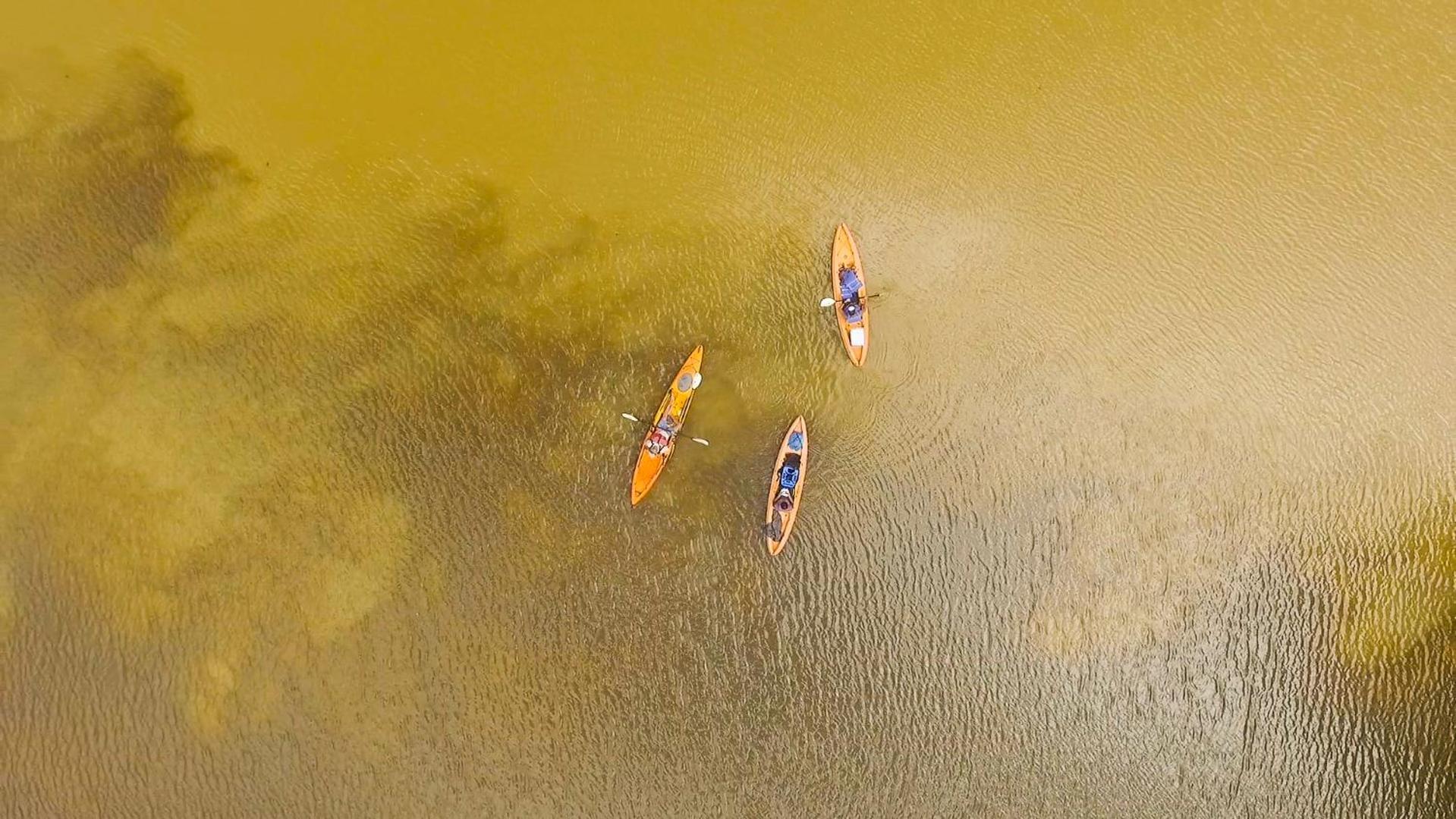 Tortuguero Adventures Beach House Екстериор снимка