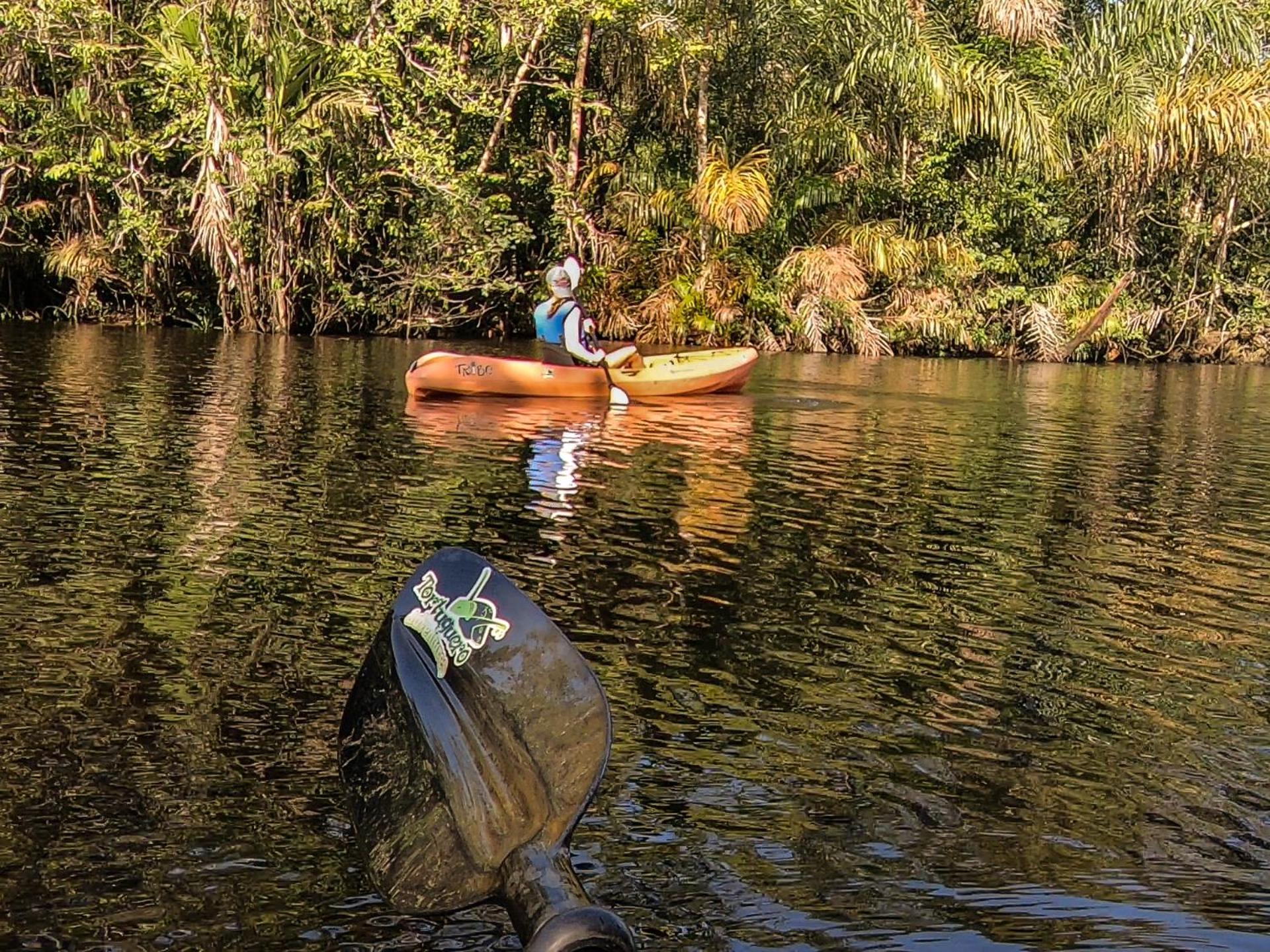 Tortuguero Adventures Beach House Екстериор снимка