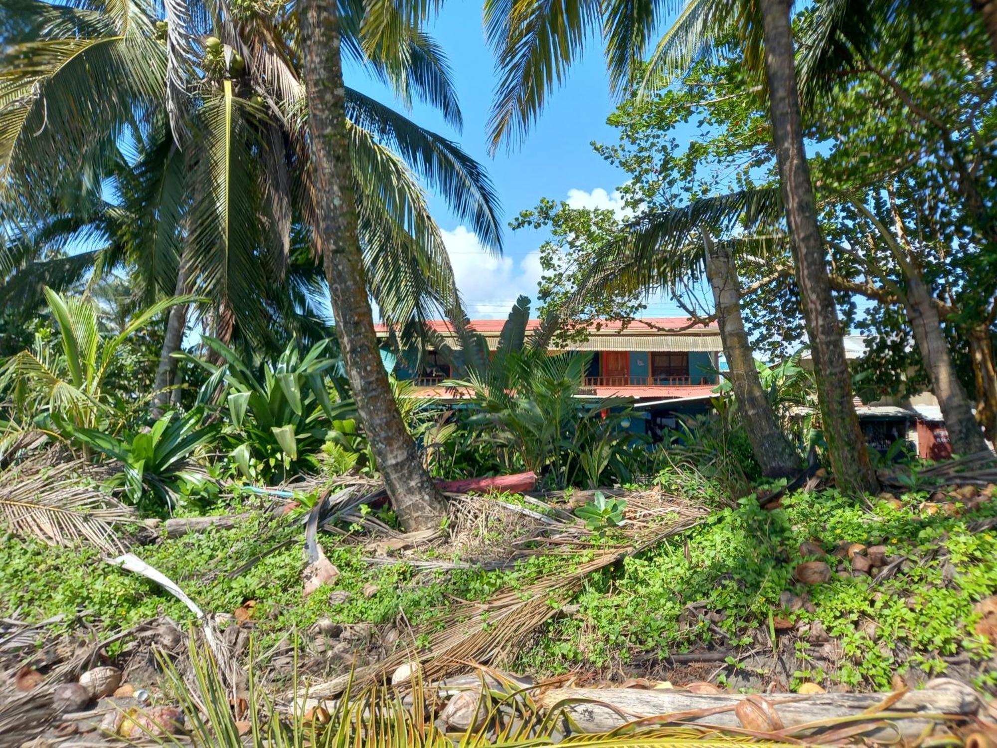 Tortuguero Adventures Beach House Екстериор снимка