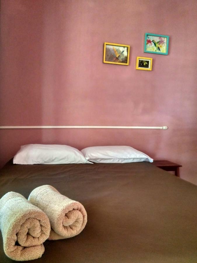 Tortuguero Adventures Beach House Екстериор снимка