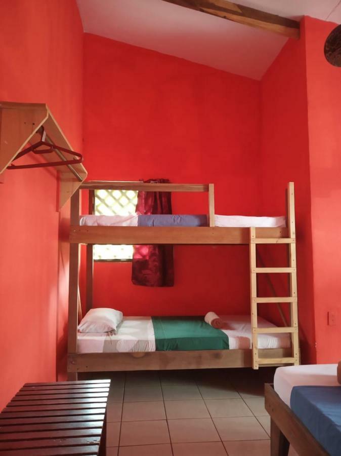 Tortuguero Adventures Beach House Екстериор снимка