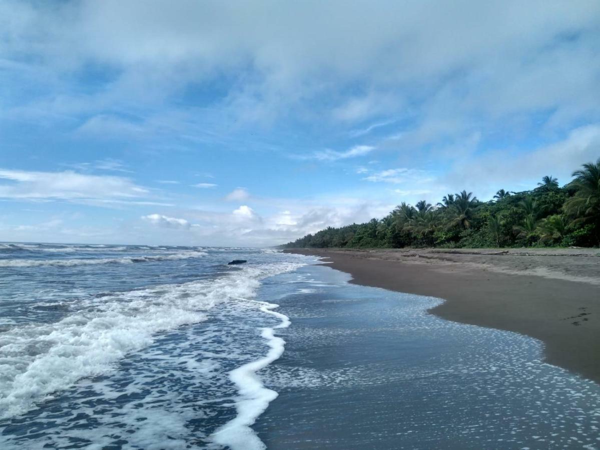 Tortuguero Adventures Beach House Екстериор снимка