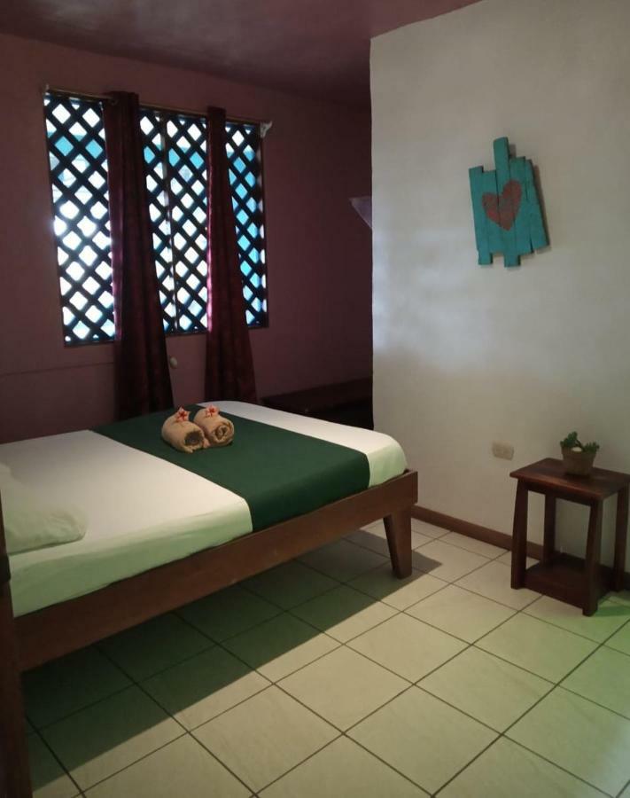 Tortuguero Adventures Beach House Екстериор снимка